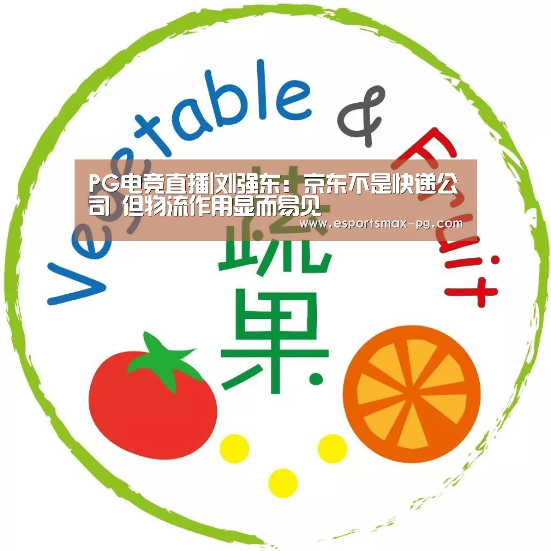 PG电竞直播|刘强东:京东不是快递公司 但物流作用显而易见