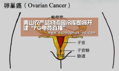 PG捕鱼