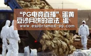 PG电竞直播