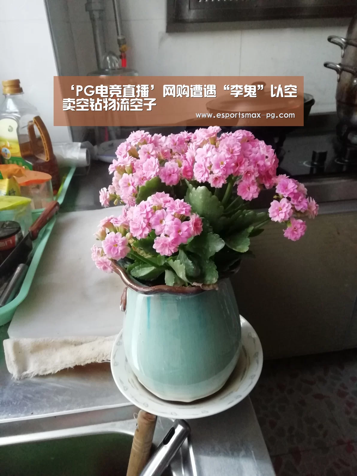 PG体育