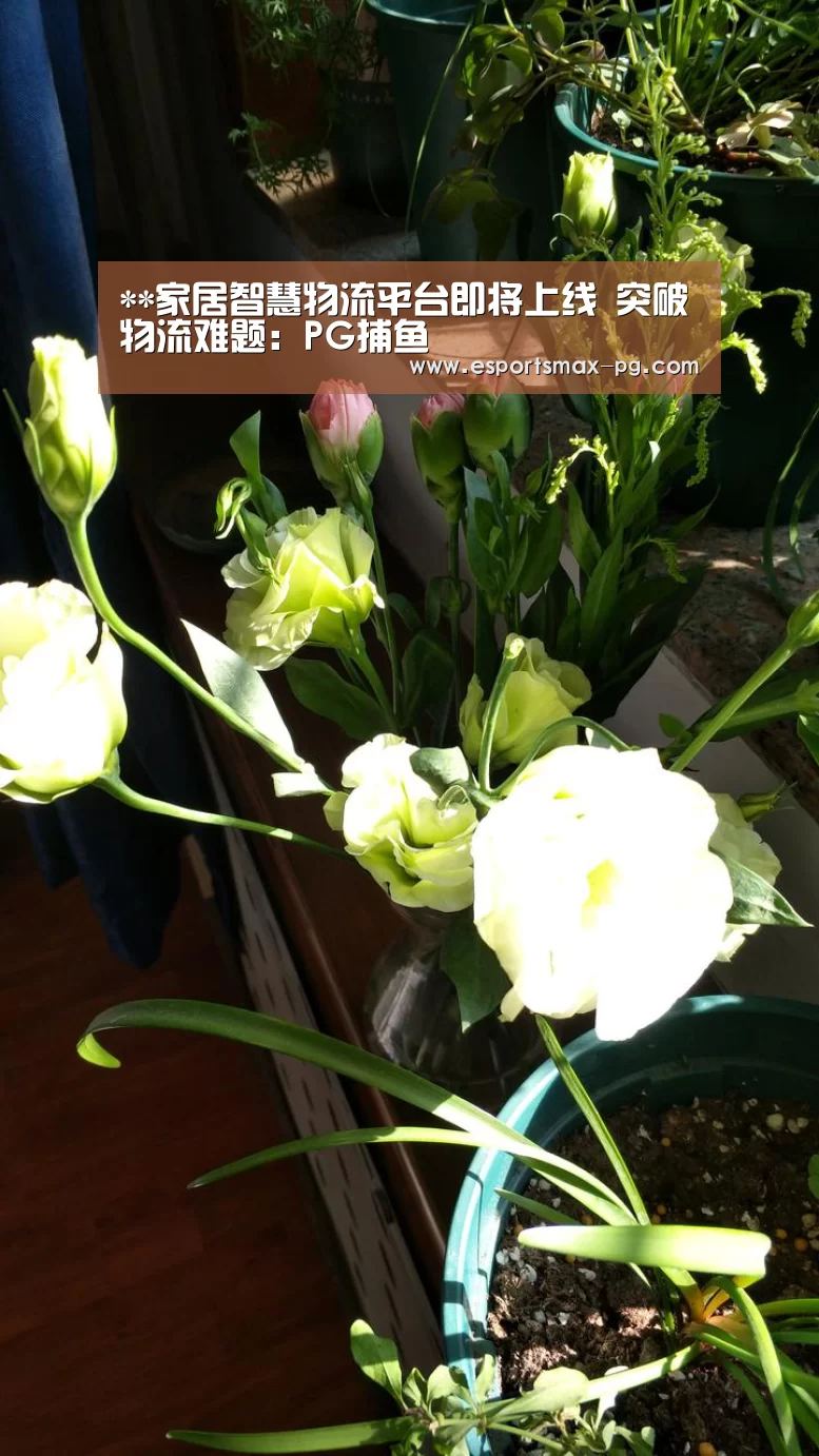 PG捕鱼