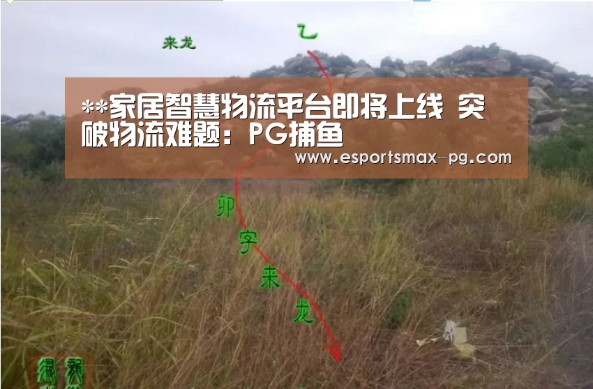 PG捕鱼
