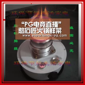 PG体育