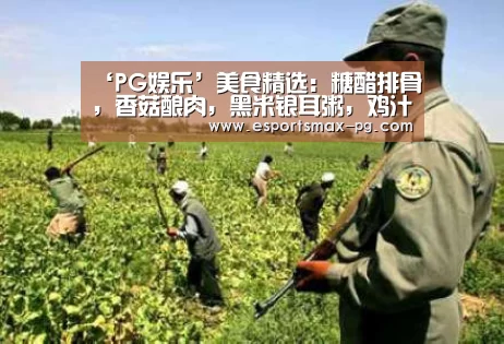 PG娱乐
