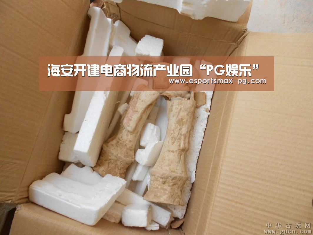 海安开建电商物流产业园“PG娱乐”(图1) PG体育