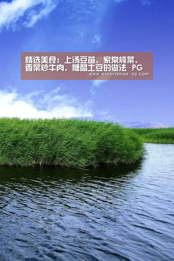 精选美食:上汤豆苗、家常炖菜、香菜炒牛肉、糖醋土豆的做法-PG体育(图1) PG捕鱼
